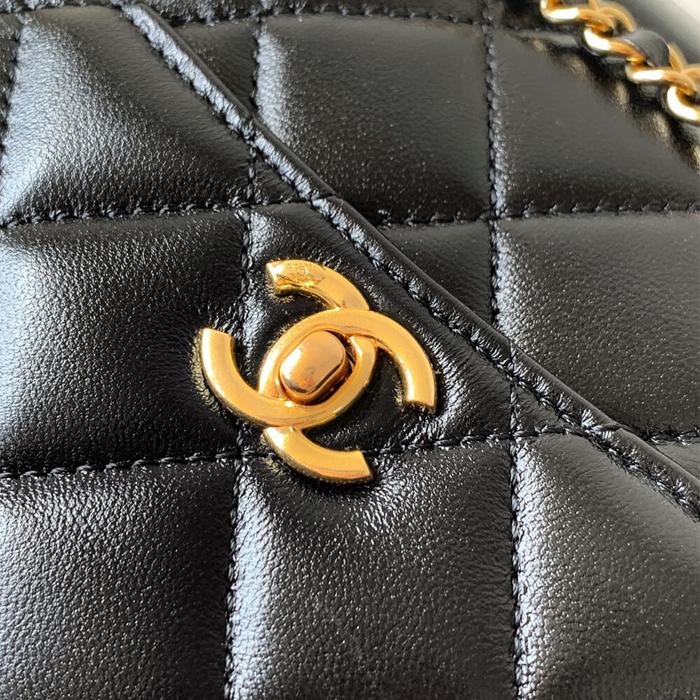 CHANEL large Camera Case - Image 6