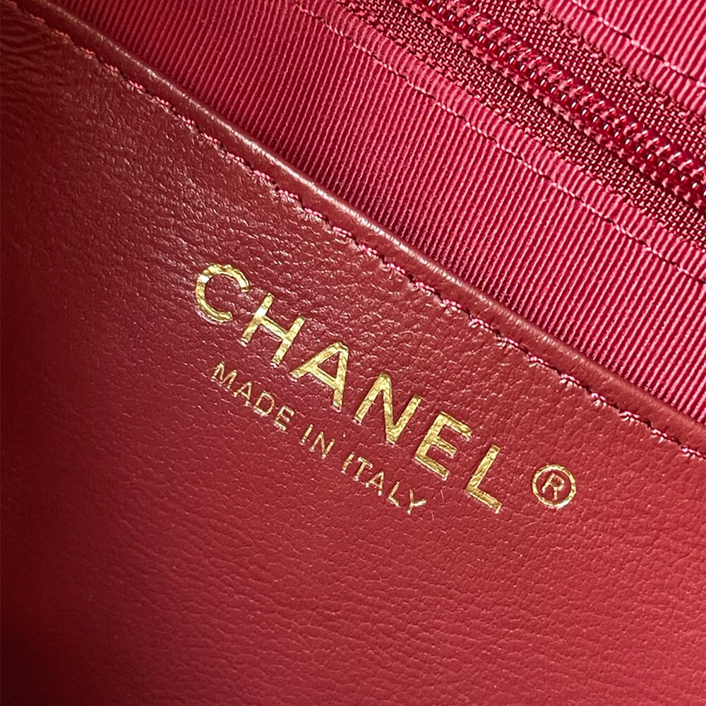 CHANEL large Camera Case - Image 7