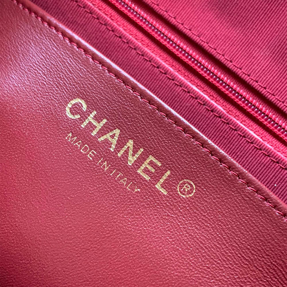 CHANEL large Camera Case - Image 7