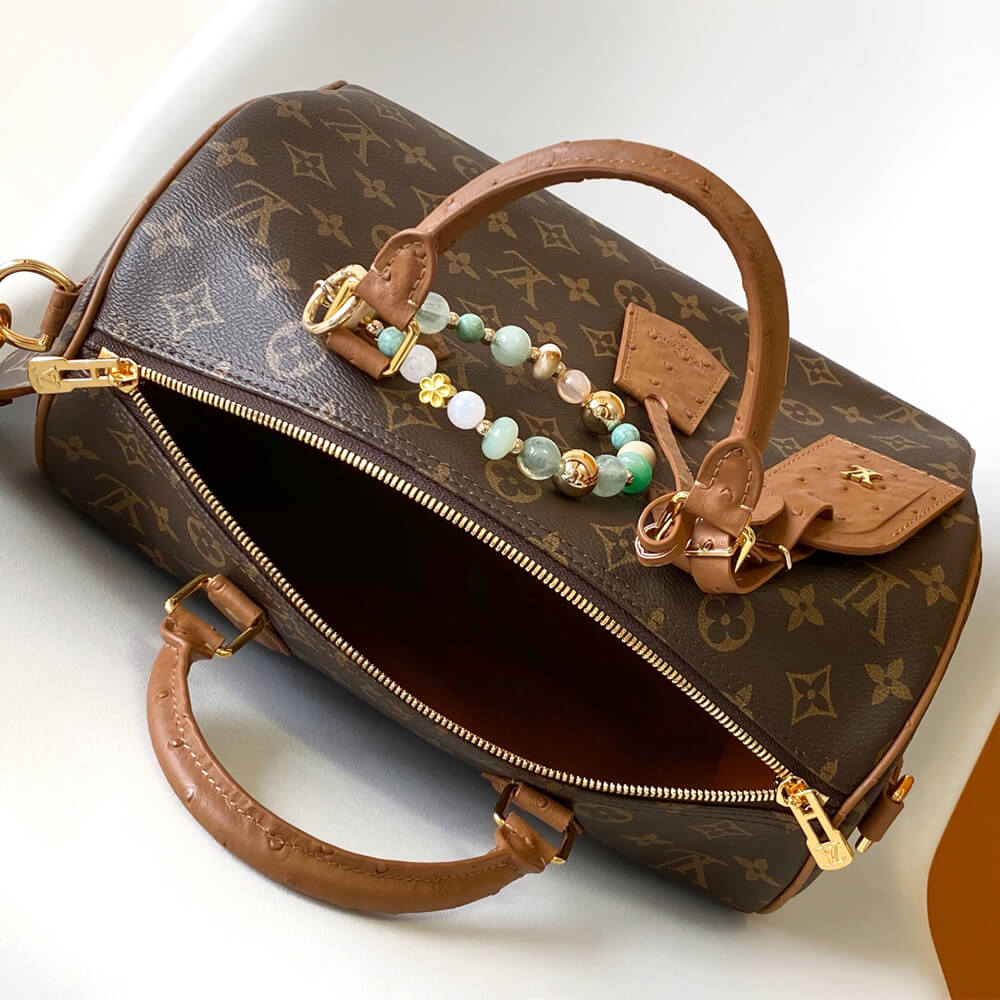 LV Speedy Soft 30 Boho - Image 8