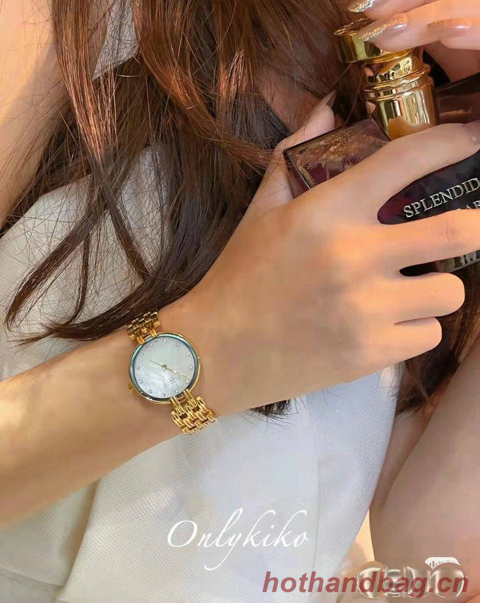 Dior Watch DRW00011-2