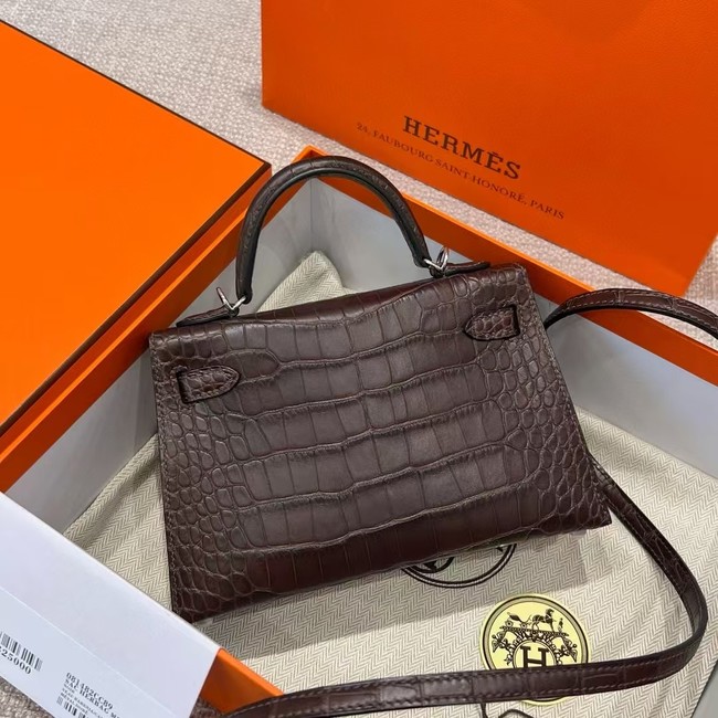 Hermes Kelly Shoulder Bags Nile crocodile leather KL2766-4