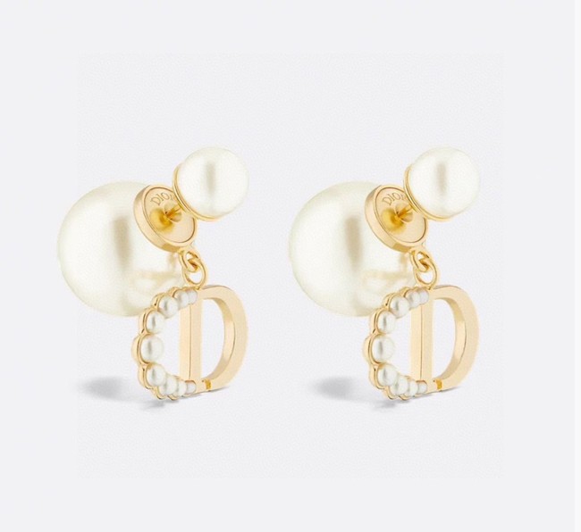 Dior Earrings CE80986