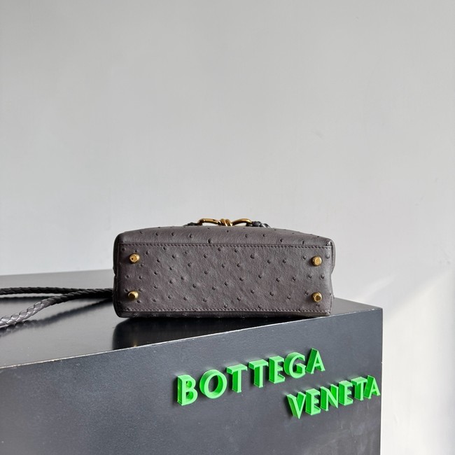 Bottega Veneta Mini Andiamo Sapele 805232 Fondant