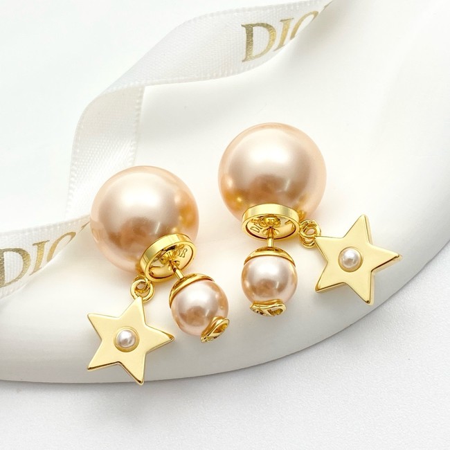 Dior Earring CE81813