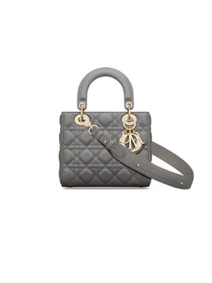 Small Lady Dior My ABCDior Bag